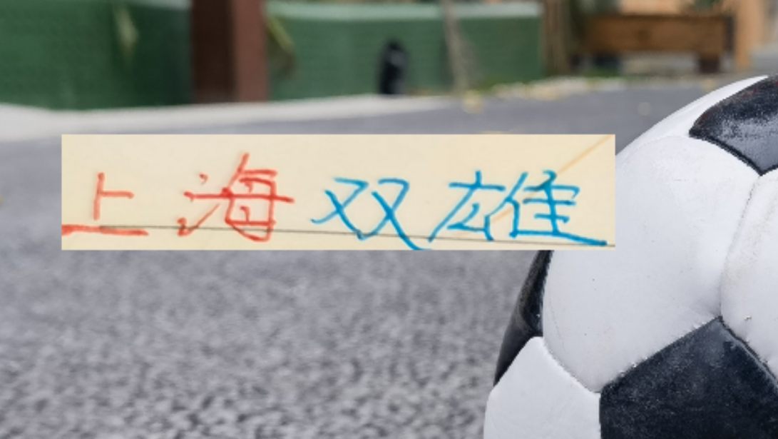 世界杯安装包下载-今年上海双雄都是大手笔 申花标王拿下拉唐 海港重金砸下大鱼